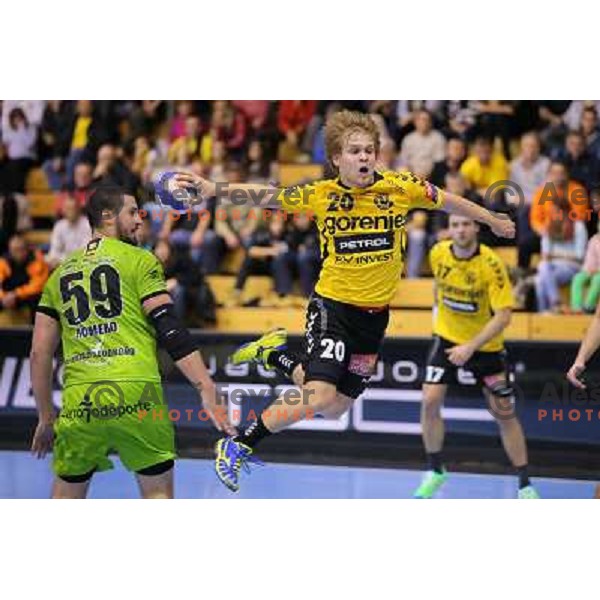 Stas Skube of Gorenje Velenje in action during EHF Champions league handball match between Gorenje Velenje ( SLO) and La Rioja (ESP) in Red hall, Velenje, Slovenia on november 23,2013 