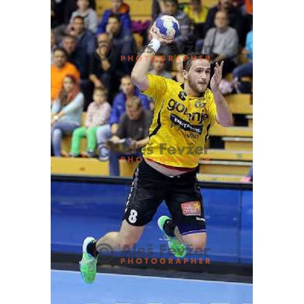 Senjamin Buric of Gorenje Velenje in action during EHF Champions league handball match between Gorenje Velenje ( SLO) and La Rioja (ESP) in Red hall, Velenje, Slovenia on november 23,2013 