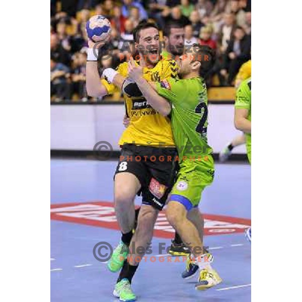 Senjamin Buric of Gorenje Velenje in action during EHF Champions league handball match between Gorenje Velenje ( SLO) and La Rioja (ESP) in Red hall, Velenje, Slovenia on november 23,2013 
