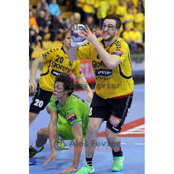 Senjamin Buric of Gorenje Velenje in action during EHF Champions league handball match between Gorenje Velenje ( SLO) and La Rioja (ESP) in Red hall, Velenje, Slovenia on november 23,2013 