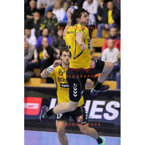 Jernej Papez of Gorenje Velenje in action during EHF Champions league handball match between Gorenje Velenje ( SLO) and La Rioja (ESP) in Red hall, Velenje, Slovenia on november 23,2013 