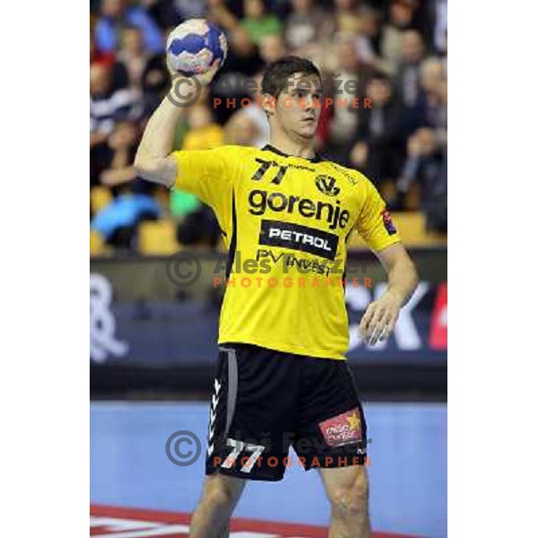 Marko Dujmovic of Gorenje Velenje in action during EHF Champions league handball match between Gorenje Velenje ( SLO) and La Rioja (ESP) in Red hall, Velenje, Slovenia on november 23,2013 
