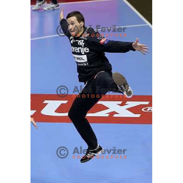Benjamin Buric of Gorenje Velenje in action during EHF Champions league handball match between Gorenje Velenje ( SLO) and La Rioja (ESP) in Red hall, Velenje, Slovenia on november 23,2013 