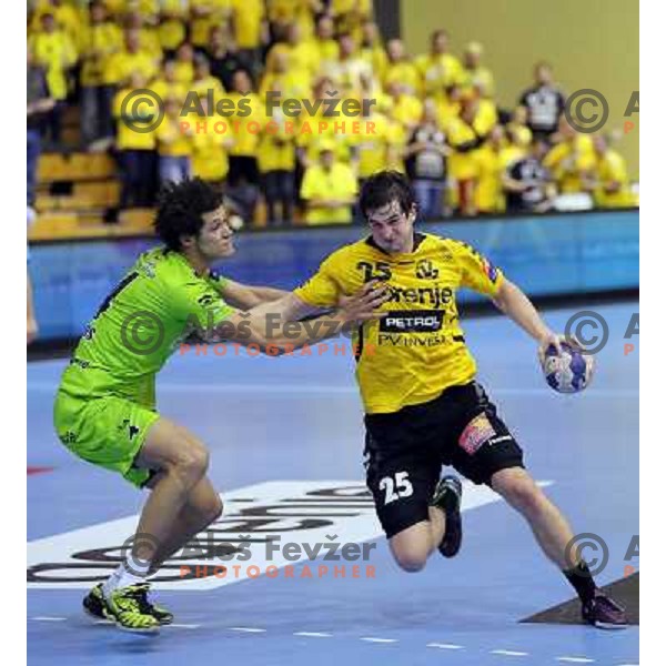 Jernej Papez of Gorenje Velenje in action during EHF Champions league handball match between Gorenje Velenje ( SLO) and La Rioja (ESP) in Red hall, Velenje, Slovenia on november 23,2013 