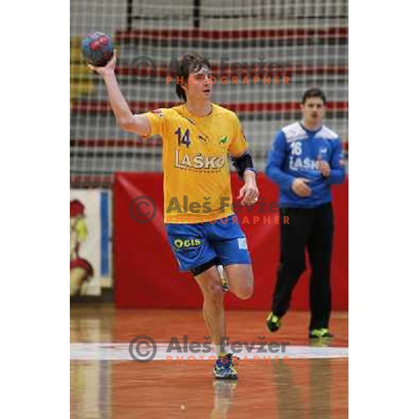 Sebastjan Skube of Celje Pivovarna Lasko in action during handball match Slovan- Celje Pivovarna Lasko in Prva liga Slovenije, played in Kodeljevo Hall, Ljubljana, Slovenia on November 27, 2013 