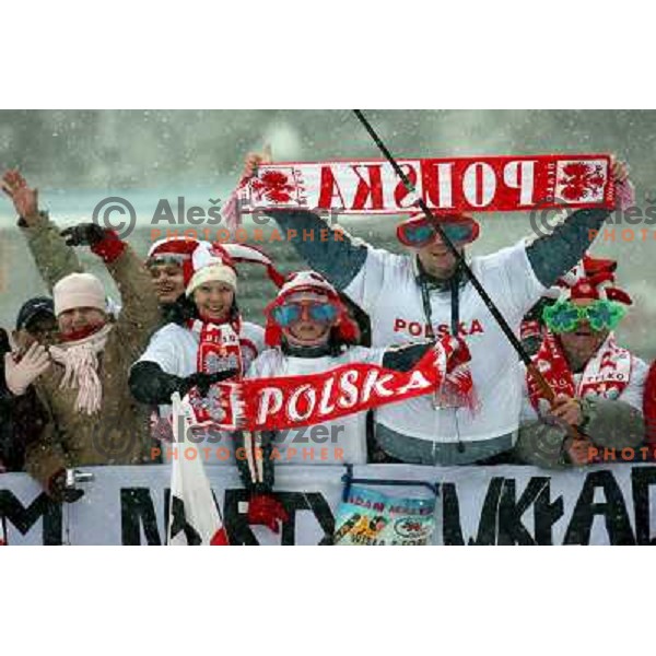 Polish fans cheering for Adam Malysz