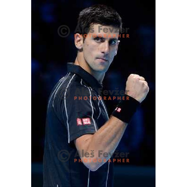 Novak Djokovic of Serbia, winner of ATP finals tennis tournament in O2 Arena, London, Great Britain on November 11, 2013 