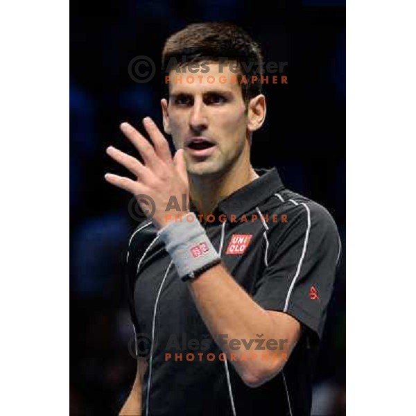 Novak Djokovic of Serbia, winner of ATP finals tennis tournament in O2 Arena, London, Great Britain on November 11, 2013 