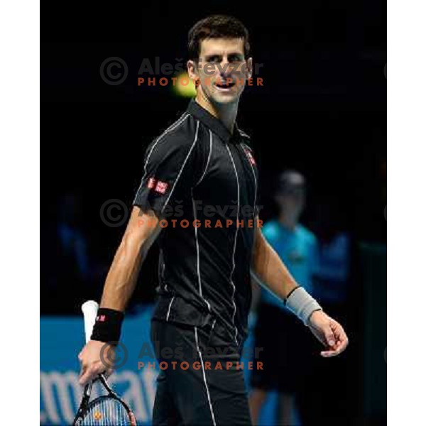 Novak Djokovic of Serbia, winner of ATP finals tennis tournament in O2 Arena, London, Great Britain on November 11, 2013 