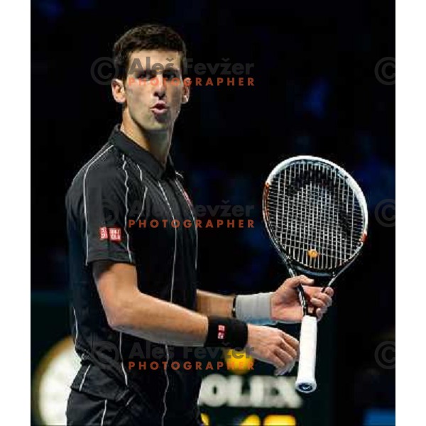 Novak Djokovic of Serbia, winner of ATP finals tennis tournament in O2 Arena, London, Great Britain on November 11, 2013 