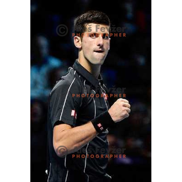 Novak Djokovic of Serbia, winner of ATP finals tennis tournament in O2 Arena, London, Great Britain on November 11, 2013 