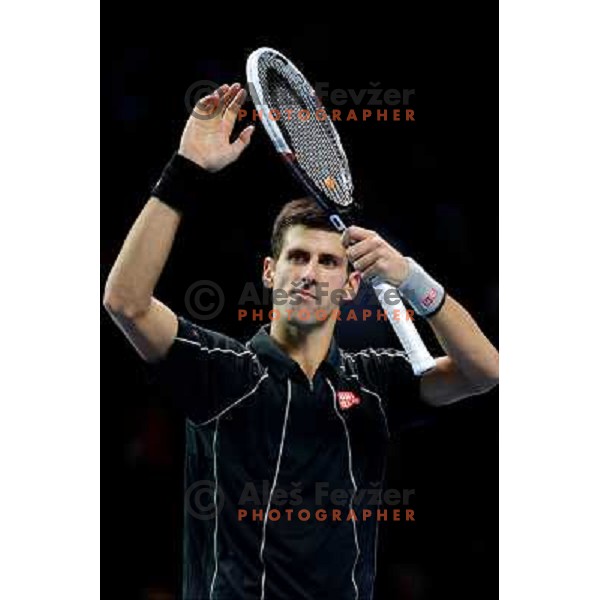 Novak Djokovic of Serbia, winner of ATP finals tennis tournament in O2 Arena, London, Great Britain on November 11, 2013 