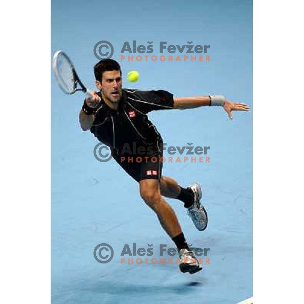 Novak Djokovic of Serbia, winner of ATP finals tennis tournament in O2 Arena, London, Great Britain on November 11, 2013 