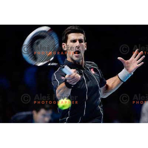 Novak Djokovic of Serbia, winner of ATP finals tennis tournament in O2 Arena, London, Great Britain on November 11, 2013 