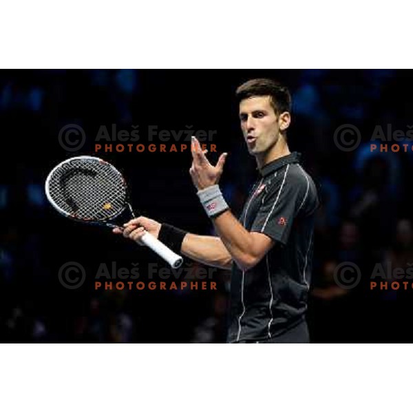 Novak Djokovic of Serbia, winner of ATP finals tennis tournament in O2 Arena, London, Great Britain on November 11, 2013 