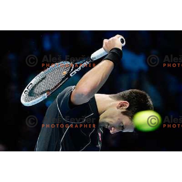 Novak Djokovic of Serbia, winner of ATP finals tennis tournament in O2 Arena, London, Great Britain on November 11, 2013 