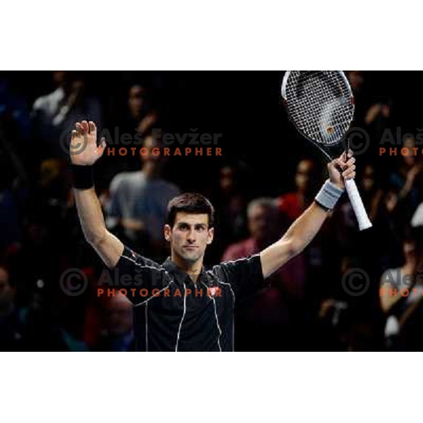 Novak Djokovic of Serbia, winner of ATP finals tennis tournament in O2 Arena, London, Great Britain on November 11, 2013 