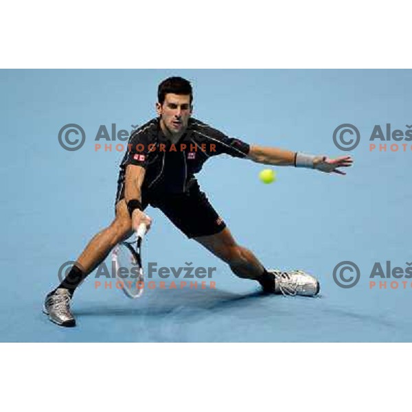 Novak Djokovic of Serbia, winner of ATP finals tennis tournament in O2 Arena, London, Great Britain on November 11, 2013 