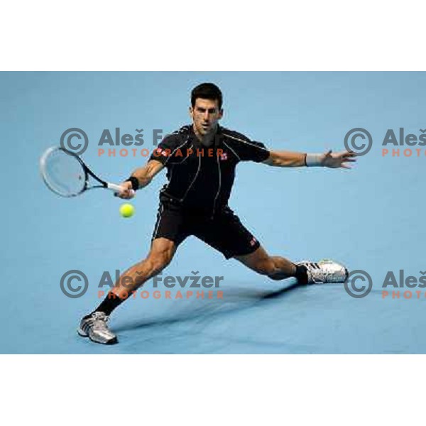 Novak Djokovic of Serbia, winner of ATP finals tennis tournament in O2 Arena, London, Great Britain on November 11, 2013 