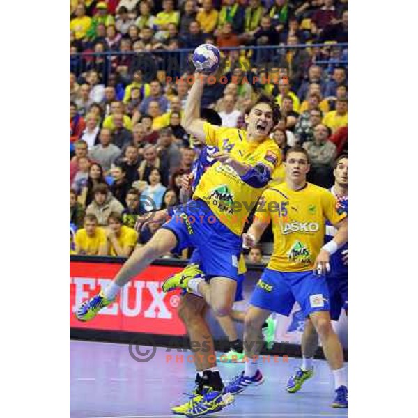 Sebastjan Skube of Celje Pivovarna Lasko in action during handball match Celje PL. - Zagreb CO in EHF Champions League, played in Zlatorog Hall, Celje, Slovenia on November 30, 2013 