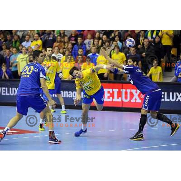 Nemanja Zelenovic of Celje Pivovarna Lasko at handball match Celje PL. - Zagreb CO in EHF Champions League, played in Zlatorog Hall, Celje, Slovenia on November 30, 2013 
