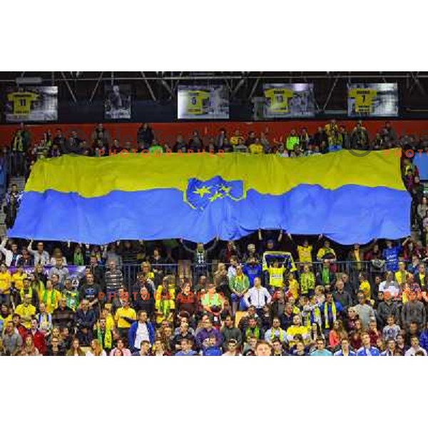 Fans of Celje Pivovarna Lasko at handball match Celje PL. - Zagreb CO in EHF Champions League, played in Zlatorog Hall, Celje, Slovenia on November 30, 2013 