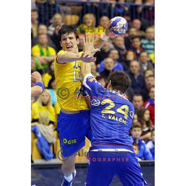 Nemanja Zelenovic of Celje Pivovarna Lasko at handball match Celje PL. - Zagreb CO in EHF Champions League, played in Zlatorog Hall, Celje, Slovenia on November 30, 2013 