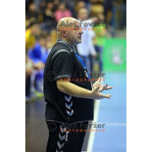 Coach of Zagreb CO at handball match Celje PL. - Zagreb CO in EHF Champions League, played in Zlatorog Hall, Celje, Slovenia on November 30, 2013 