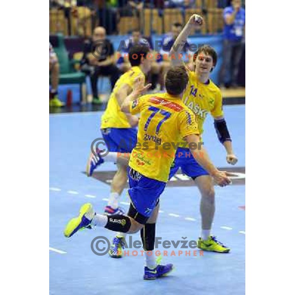 Luka Zvizej and Players of Celje Pivovarna Lasko celebrate victory at handball match Celje PL. - Zagreb CO in EHF Champions League, played in Zlatorog Hall, Celje, Slovenia on November 30, 2013 