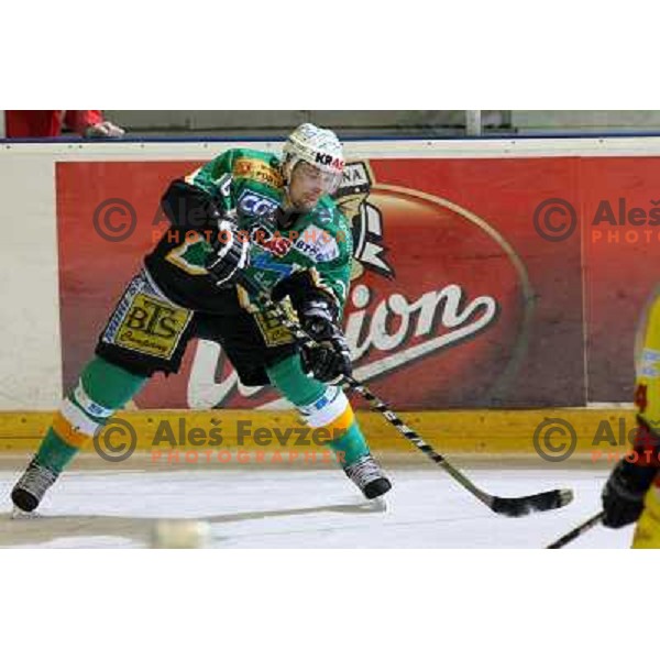 Mitja Sivic at fifth game ZM Olimpija- BR Slavija in Slovenian Ice-Hockey National Finals. ZM Olimpija won after shot-out, won the series 4:1 and became Slovenian Champion