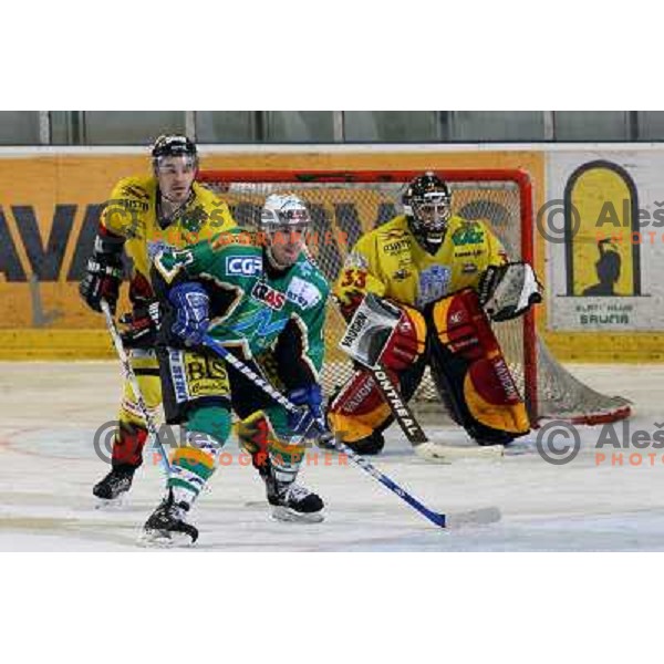 Jeremiah McCarthy at fifth game ZM Olimpija- BR Slavija in Slovenian Ice-Hockey National Finals. ZM Olimpija won after shot-out, won the series 4:1 and became Slovenian Champion