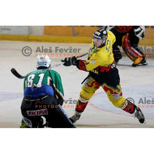 Domen Lajevec at fifth game ZM Olimpija- BR Slavija in Slovenian Ice-Hockey National Finals. ZM Olimpija won after shot-out, won the series 4:1 and became Slovenian Champion