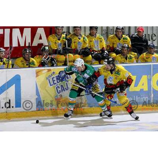 McCarthy and Avgustincic in action at fifth game ZM Olimpija- BR Slavija in Slovenian Ice-Hockey National Finals. ZM Olimpija won after shot-out, won the series 4:1 and became Slovenian Champion