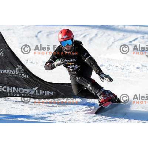 Gloria Kotnik of Slovenia in action during Snowboard World Cup giant slalom race in Carezza, Italy on December 14, 2013 