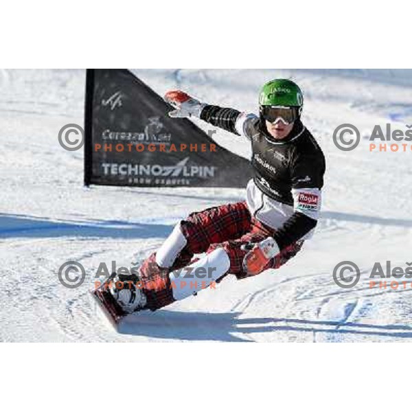 Rok Marguc of Slovenia in action during Snowboard World Cup giant slalom race in Carezza, Italy on December 14, 2013 