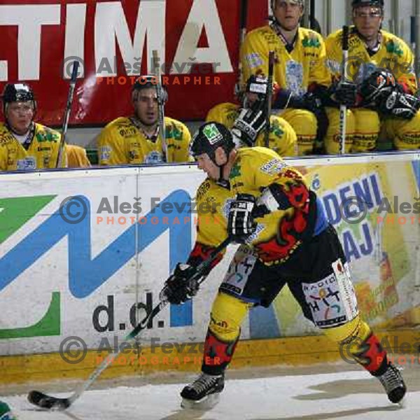 Bojan Zajc at fifth game ZM Olimpija- BR Slavija in Slovenian Ice-Hockey National Finals. ZM Olimpija won after shot-out, won the series 4:1 and became Slovenian Champion