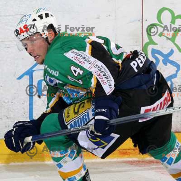 Ed Hill at fifth game ZM Olimpija- BR Slavija in Slovenian Ice-Hockey National Finals. ZM Olimpija won after shot-out, won the series 4:1 and became Slovenian Champion