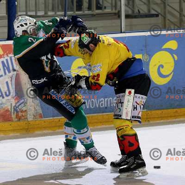 Fight at fifth game ZM Olimpija- BR Slavija in Slovenian Ice-Hockey National Finals. ZM Olimpija won after shot-out, won the series 4:1 and became Slovenian Champion