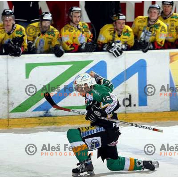 Ales Music celebrate goal at fifth game ZM Olimpija- BR Slavija in Slovenian Ice-Hockey National Finals. ZM Olimpija won after shot-out, won the series 4:1 and became Slovenian Champion