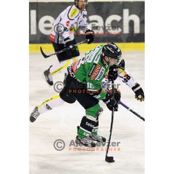 Ken Ograjensek of Telemach Olimpija in action during EBEL league ice-hockey match Telemach Olimpija-Dornbirn in Hala Tivoli, Ljubljana, Slovenia on January 3,2014 