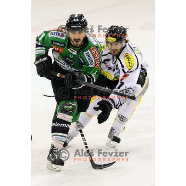 of Telemach Olimpija in action during EBEL league ice-hockey match Telemach Olimpija-Dornbirn in Hala Tivoli, Ljubljana, Slovenia on January 3,2014 