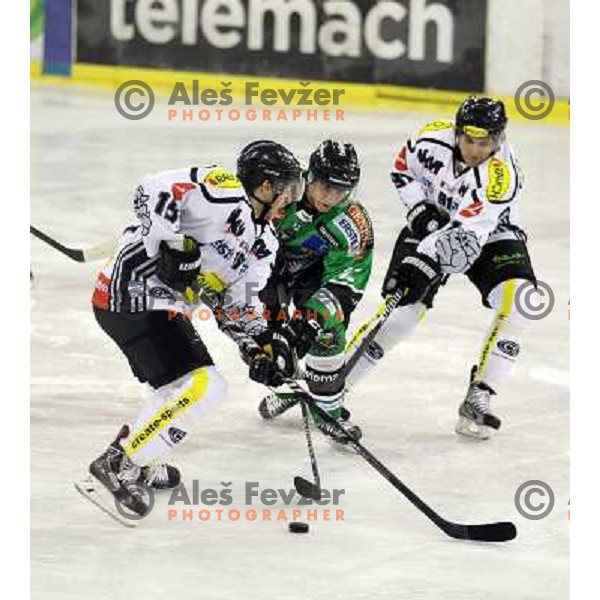 Erik Pance of Telemach Olimpija in action during EBEL league ice-hockey match Telemach Olimpija-Dornbirn in Hala Tivoli, Ljubljana, Slovenia on January 3,2014 