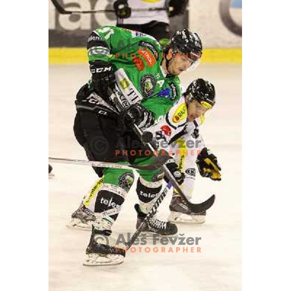 Miha Verlic of Telemach Olimpija in action during EBEL league ice-hockey match Telemach Olimpija-Dornbirn in Hala Tivoli, Ljubljana, Slovenia on January 3,2014 