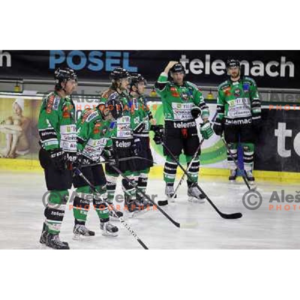 Gal Koren of Telemach Olimpija in action during EBEL league ice-hockey match Telemach Olimpija-Dornbirn in Hala Tivoli, Ljubljana, Slovenia on January 3,2014 