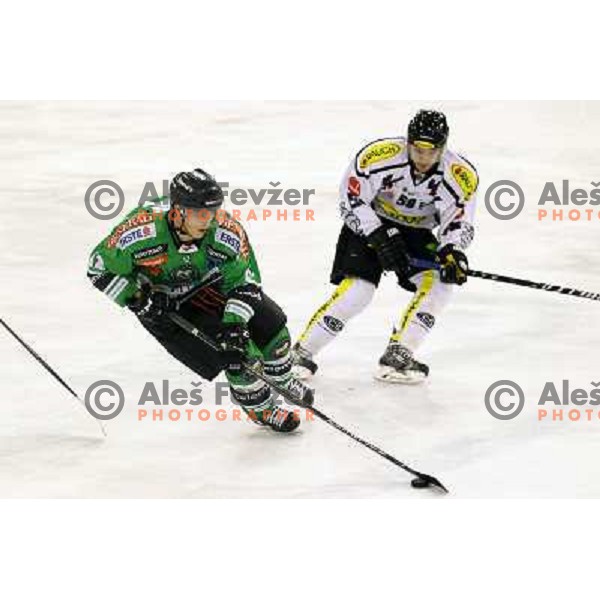 Erik Pance of Telemach Olimpija in action during EBEL league ice-hockey match Telemach Olimpija-Dornbirn in Hala Tivoli, Ljubljana, Slovenia on January 3,2014 