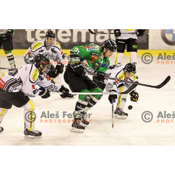 Miha Verlic of Telemach Olimpija in action during EBEL league ice-hockey match Telemach Olimpija-Dornbirn in Hala Tivoli, Ljubljana, Slovenia on January 3,2014 