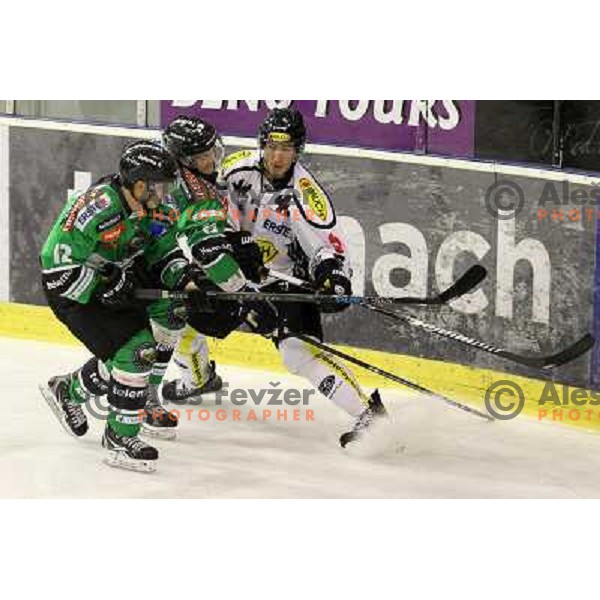 of Telemach Olimpija in action during EBEL league ice-hockey match Telemach Olimpija-Dornbirn in Hala Tivoli, Ljubljana, Slovenia on January 3,2014 