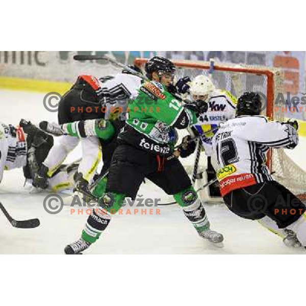 Erik Pance of Telemach Olimpija in action during EBEL league ice-hockey match Telemach Olimpija-Dornbirn in Hala Tivoli, Ljubljana, Slovenia on January 3,2014 