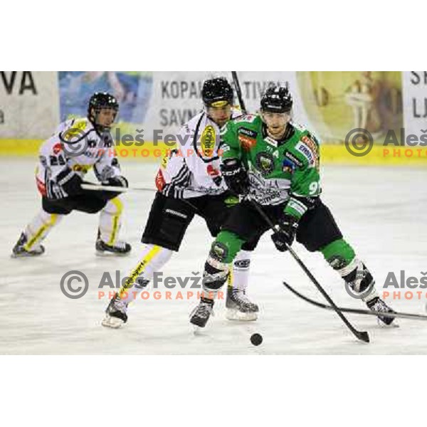 Miha Verlic of Telemach Olimpija in action during EBEL league ice-hockey match Telemach Olimpija-Dornbirn in Hala Tivoli, Ljubljana, Slovenia on January 3,2014 
