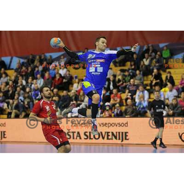 Luka Zvizej of Slovenia in action during handball match Slovenia-Luxemburg in qualification for World Championships Qatar 2015, played in Red Hall, Velenje on January 5,2013 